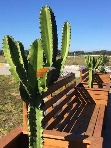 Terreno, 1800 m² - Foto 15