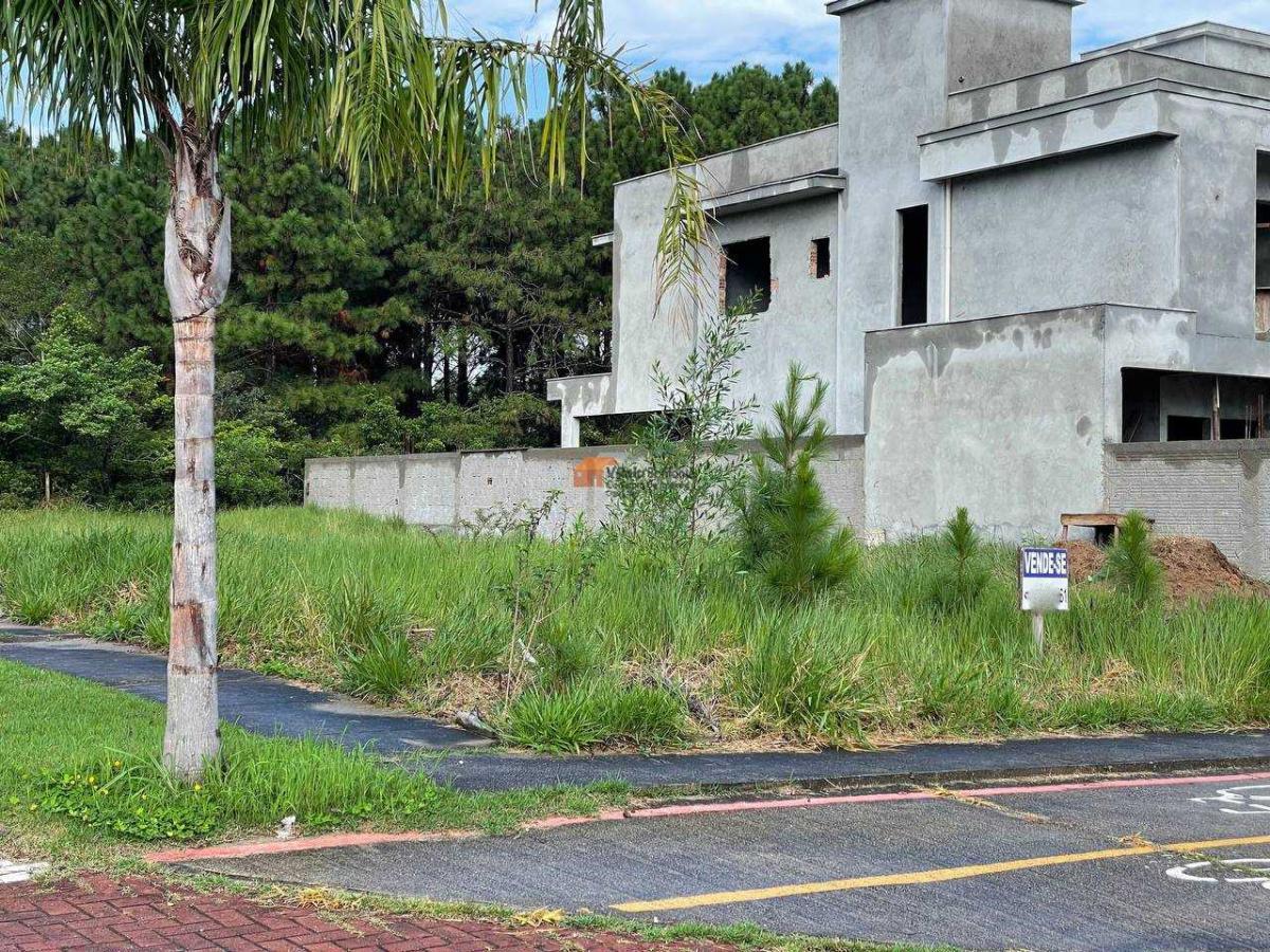 Terreno, 505 m² - Foto 6