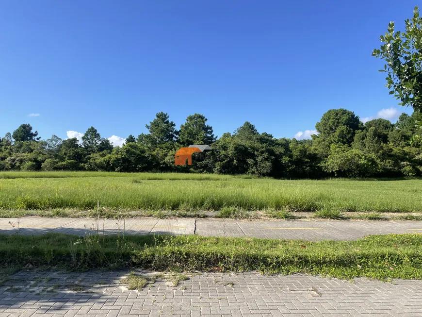 Terreno, 443 m² - Foto 4