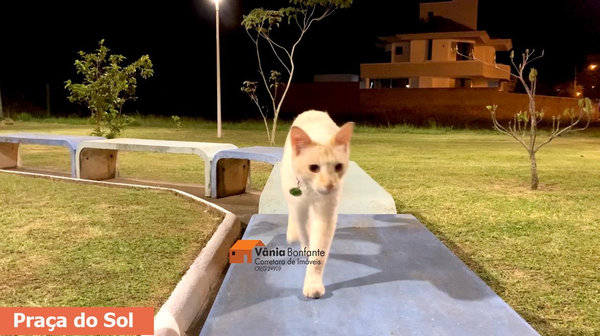 Terreno, 464 m² - Foto 29