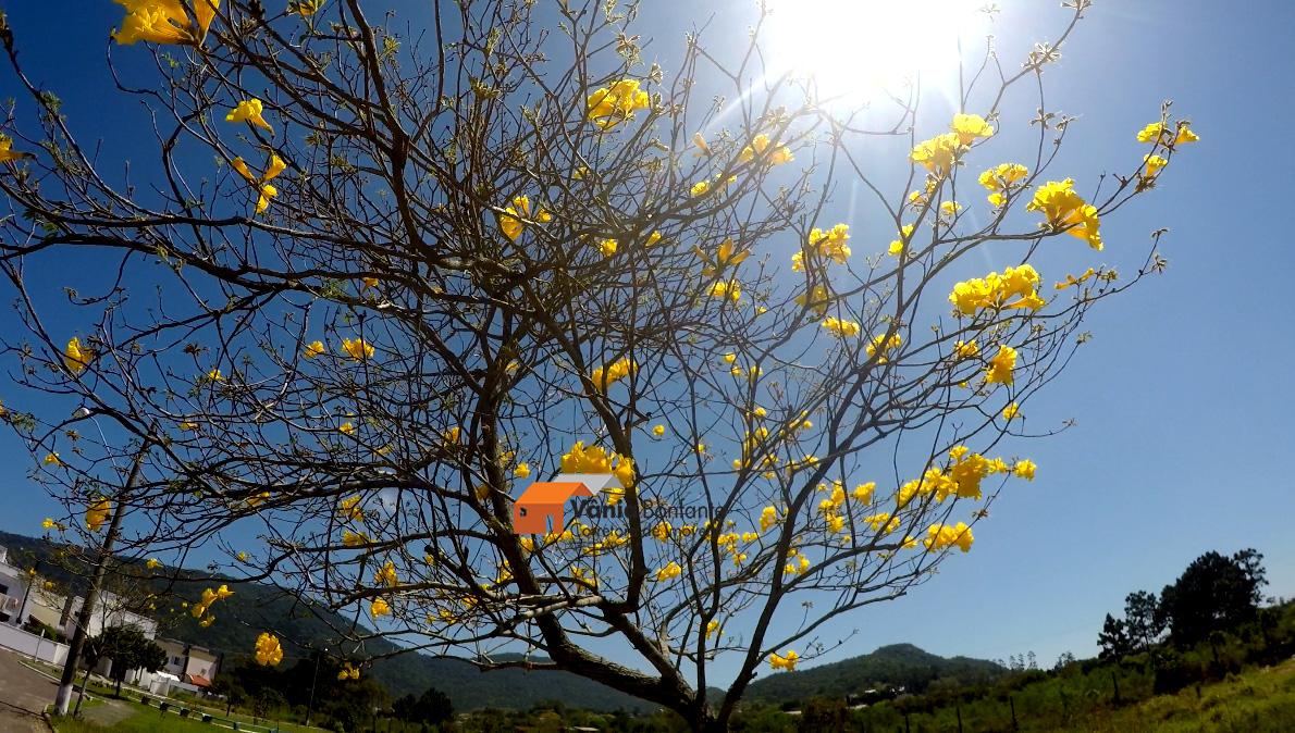 Terreno, 464 m² - Foto 31