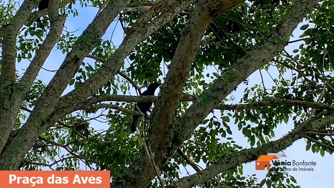 Terreno, 464 m² - Foto 39