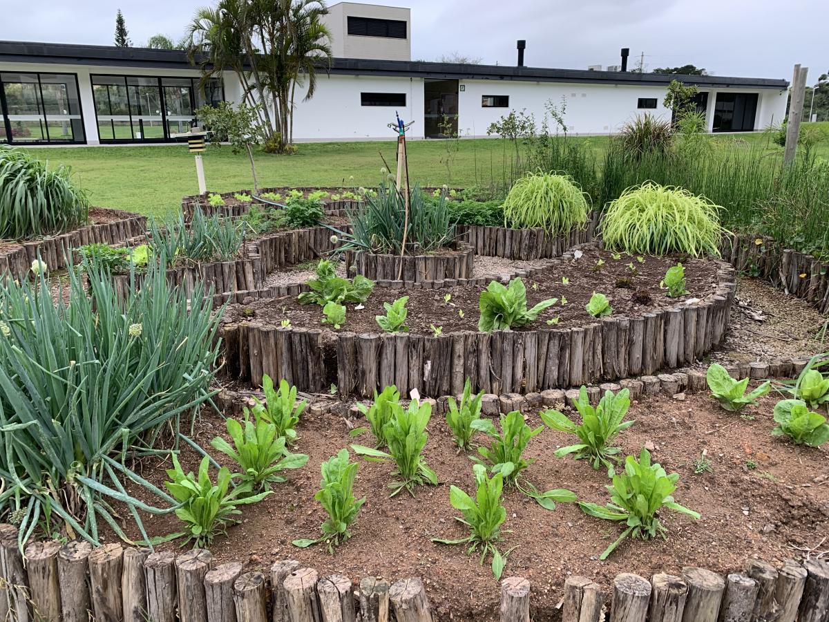 Casa, 4 quartos - Foto 58