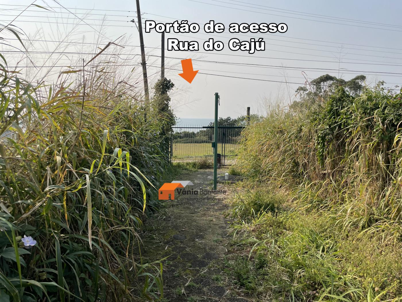 Prédio Inteiro - Foto 14