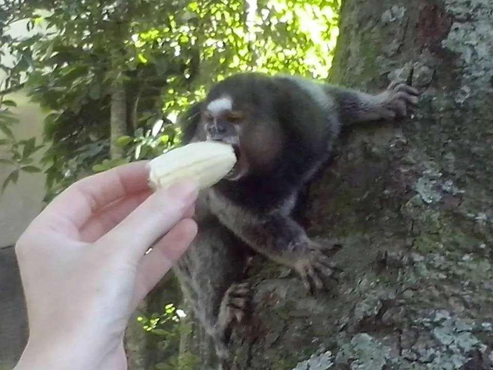 Prédio Inteiro - Foto 53